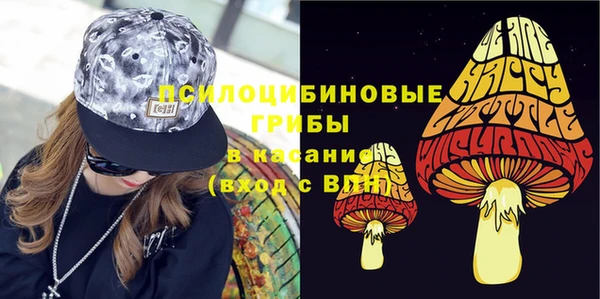 твердый Алзамай