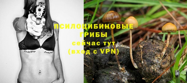 скорость Алексеевка